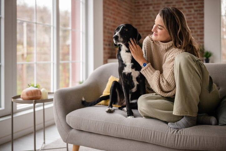 can fleas live on humans? woman sits on sofa with dog.