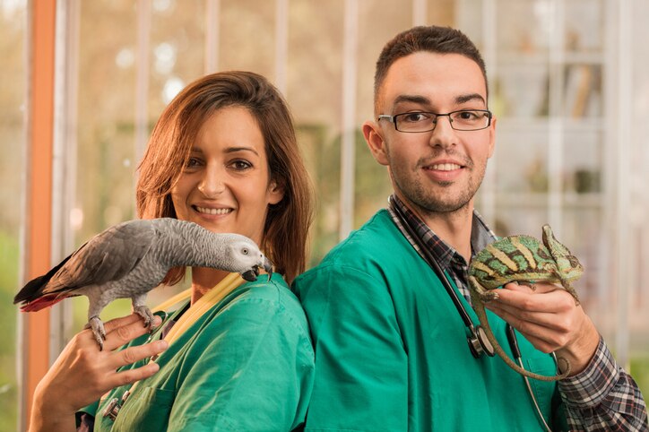 parrot and chameleon held by two veterinarians