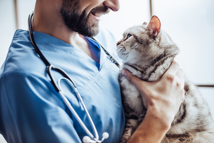 cat chemotherapy; a smiling vet holds a cat.