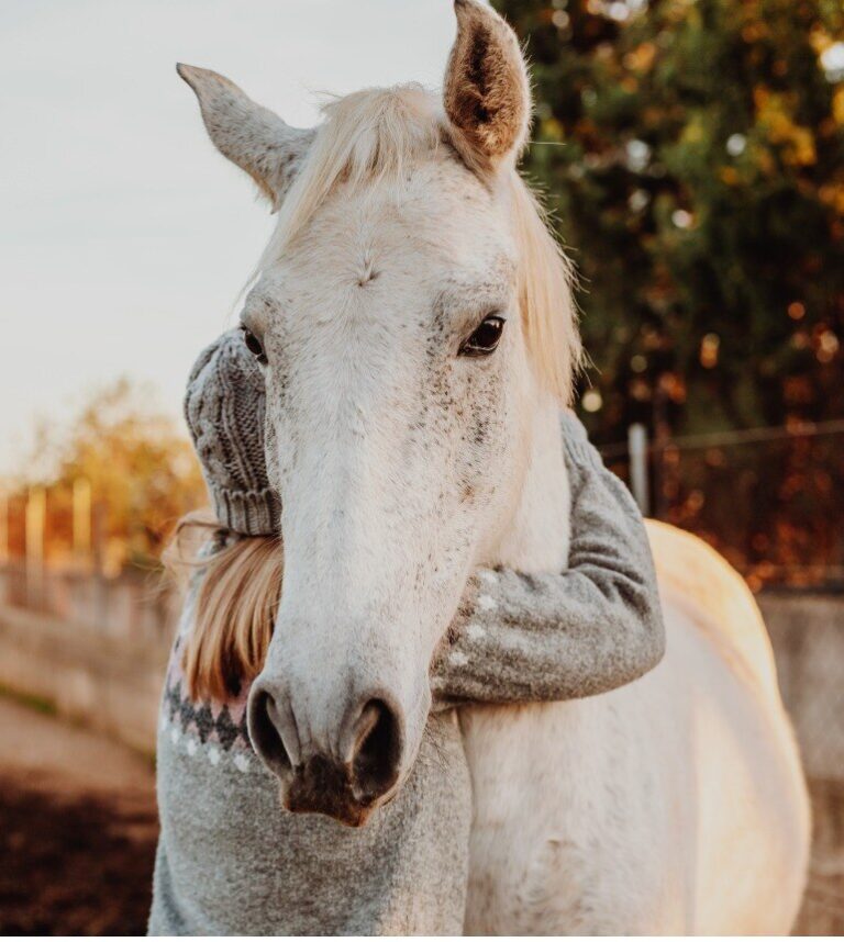 blonde woman hugging a white horse