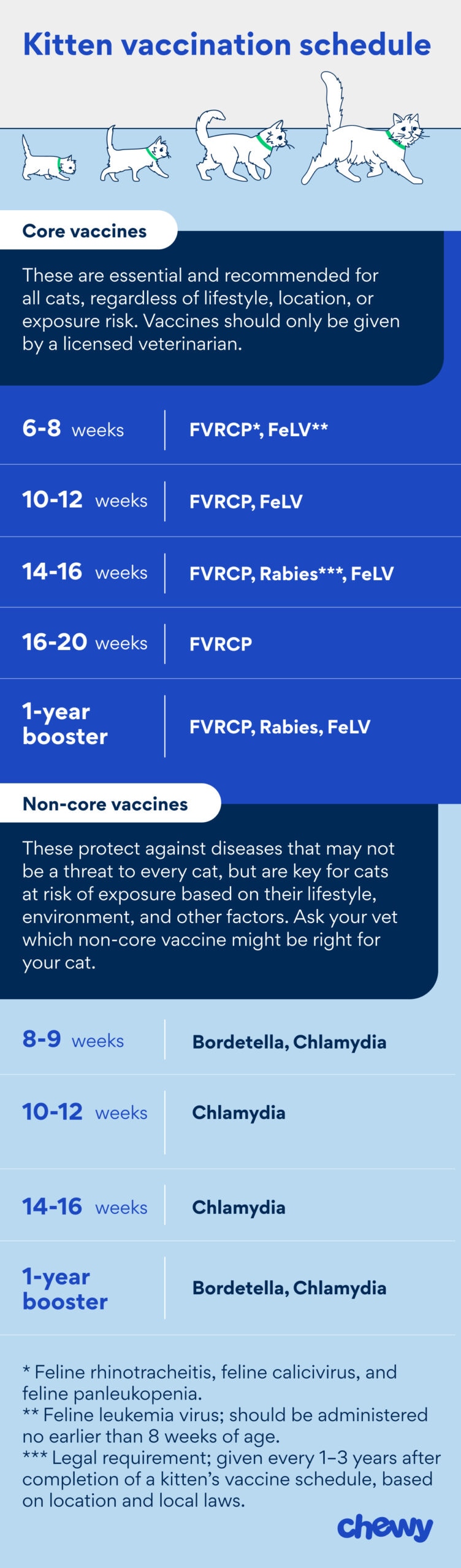 kitten vaccine schedule