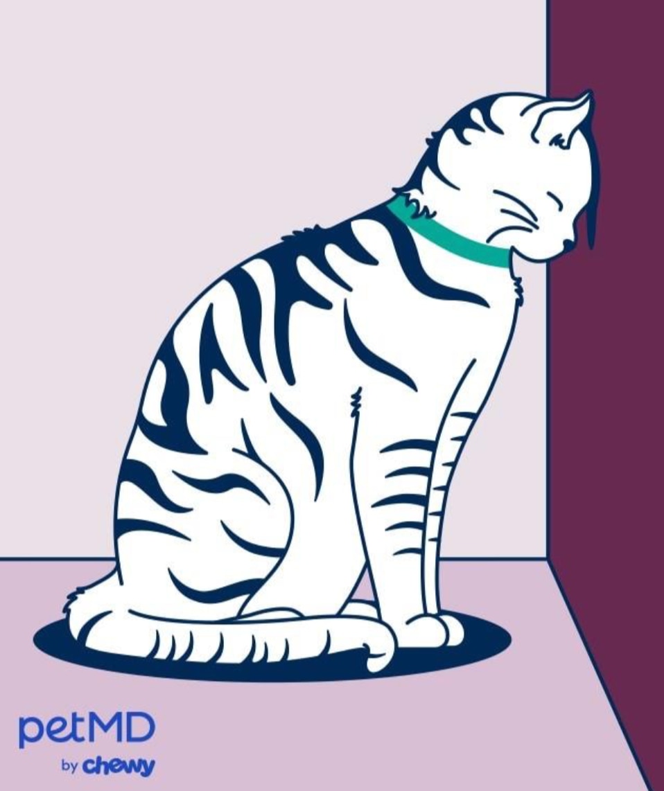 Cat pressing head