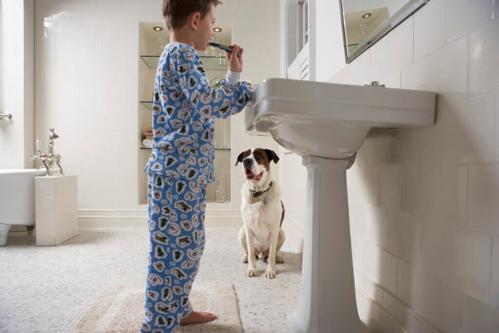 xylitol poisoning in dogs; a dog watches a kid brush his teeth with toothpaste containing xylitol.