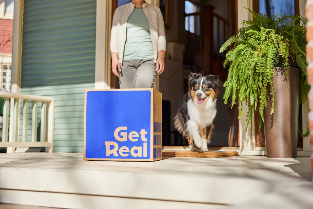 An Australian Shepherd getting Chewy Get Real Fresh food delivered. This is the best fresh dog food for Australian Shepherds
