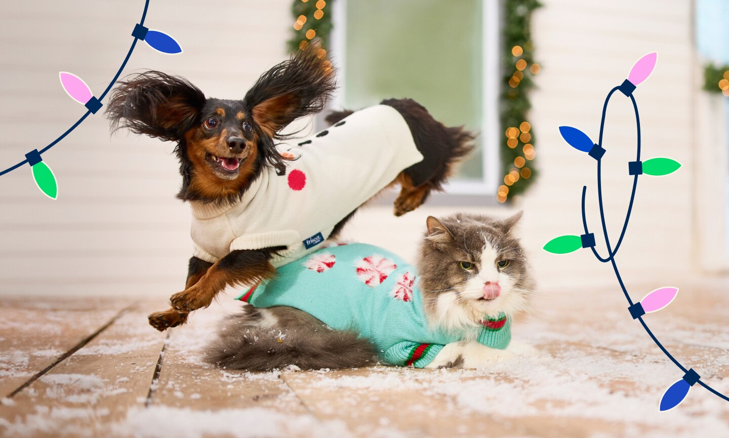 A dog and cat in holiday sweaters on a snowy front porch