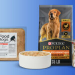 12 Best Dog Foods in 2025, Vet Recommended