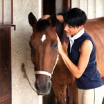 How To Choose the Best Weight Gain Supplements for Your Horse