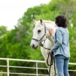 What Is Equine Influenza? What Are the Signs?