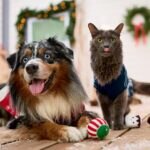 Chewy’s Holiday Guide: Helpful Tips, DIY Fun, Gift Ideas, and More