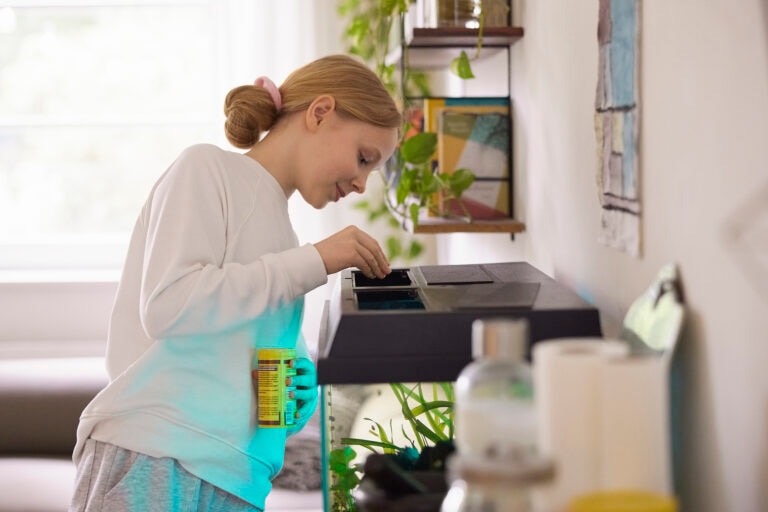 woman fills fish tank feeder in her home aquarium