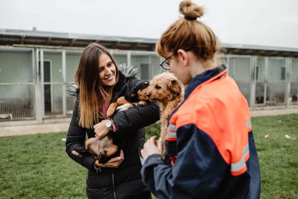 coccidia in dogs; two shelter workers play with puppies.
