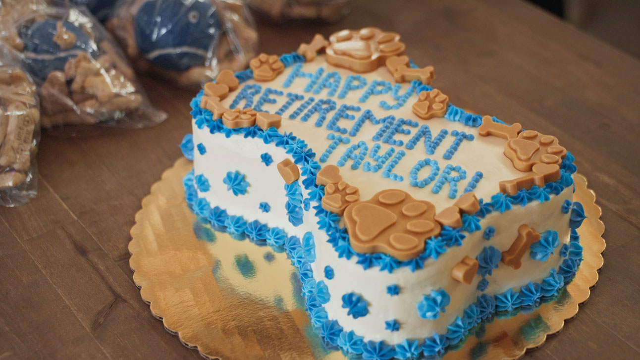 A bone-shaped dog cake that reads Happy Retirement Taylor!