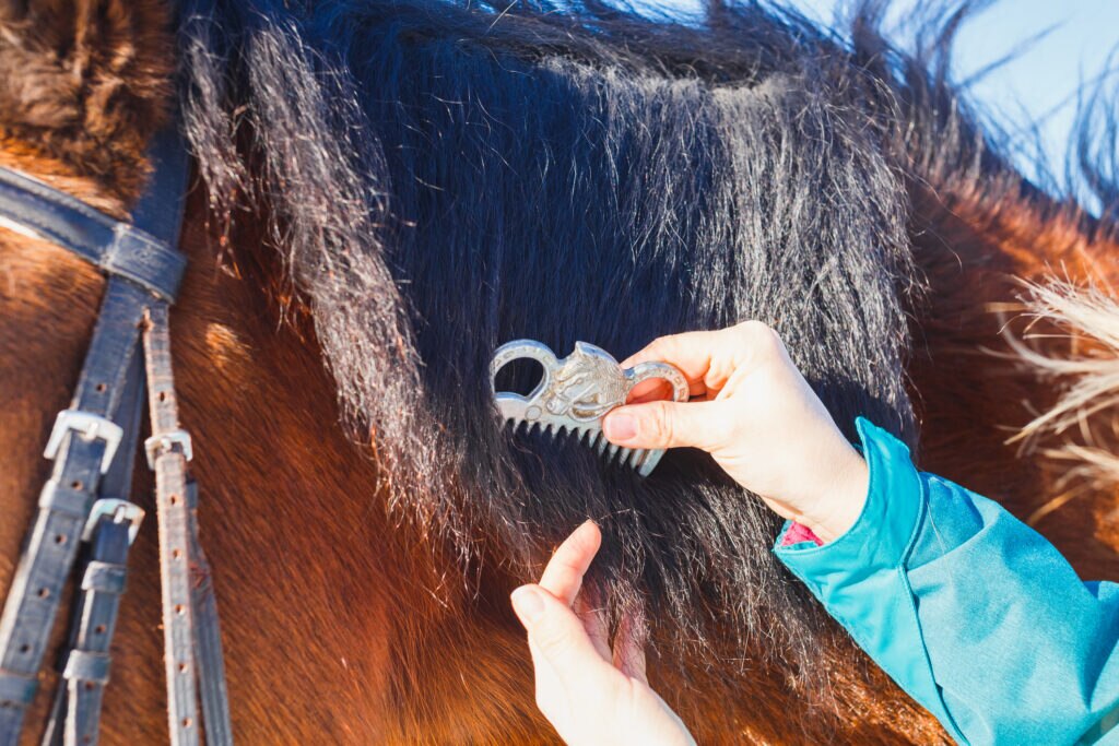 Horse grooming with mane comb