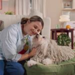 How To Clean Dog Beds