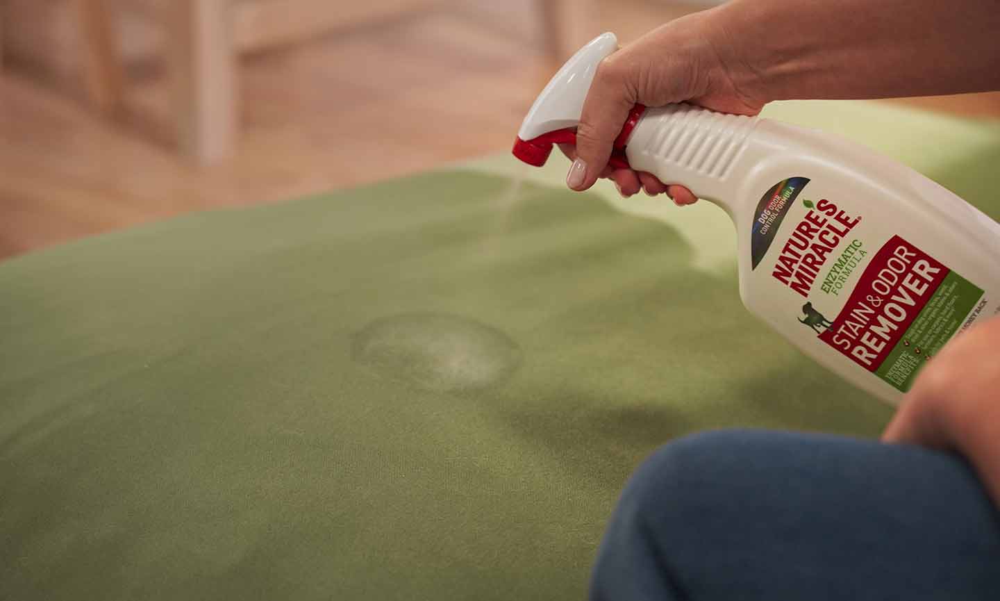 removing stains from dog bed