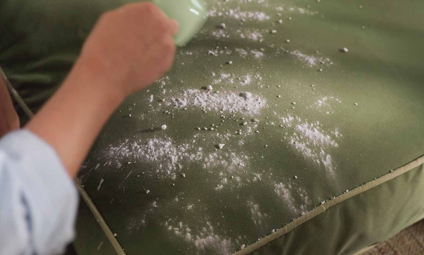 removing odors from a dog bed