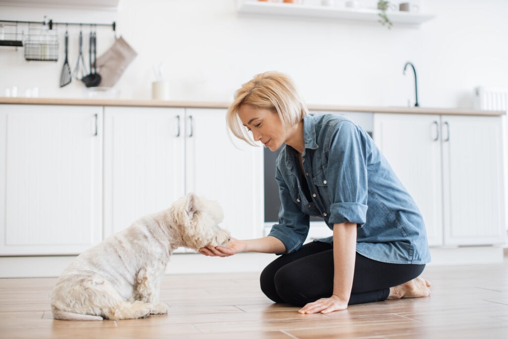 a woman gives her dog a glucosamine supplement while sitting on the kitchen floor.