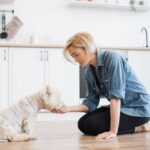 Glucosamine for Dogs: Uses, Benefits, Dosage, and Side Effects