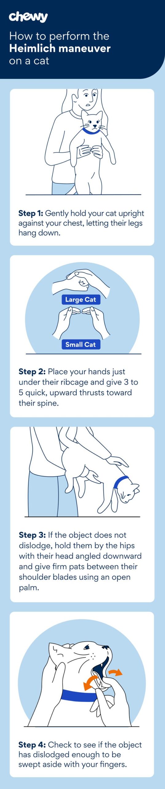 cat heimlich info