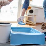 How To Dispose of Cat Litter: Safe Options for Your Home and the Environment