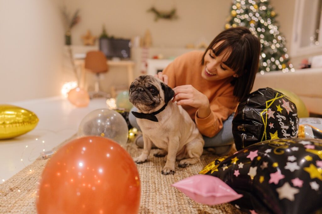 woman tying a bowtie onto a pug on new year's eve. learn new years resolutions for pet parents.