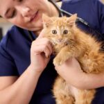 Chewy Claus Wish-A-Thon: Support Saving Sage Animal Rescue Foundation