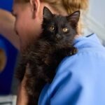 Chewy Claus Wish-A-Thon: Support UFAR Animals Rescue