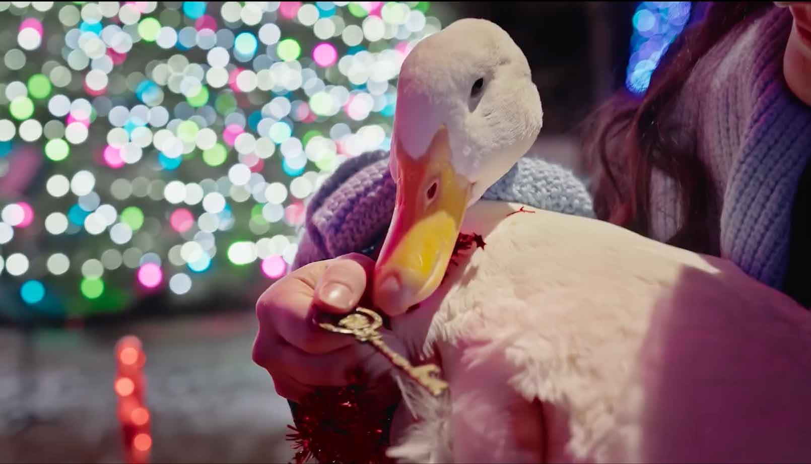 Fern receiving the key to the city of Harrison Township