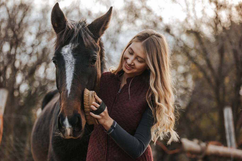 Young woman grooming a horse in cold weather
