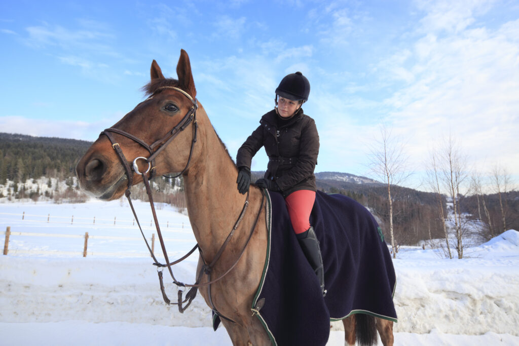 woman riding horse with a cooler on to keep warm