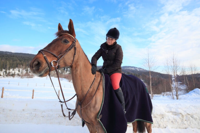 woman riding horse with a cooler on to keep warm