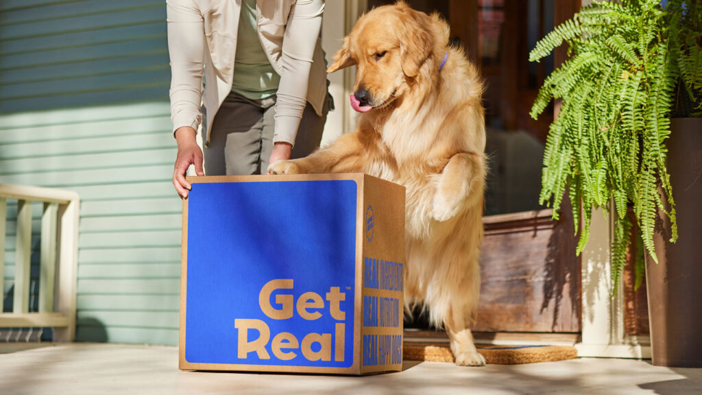 A dog and pet parent opening a box of Get Real fresh dog food