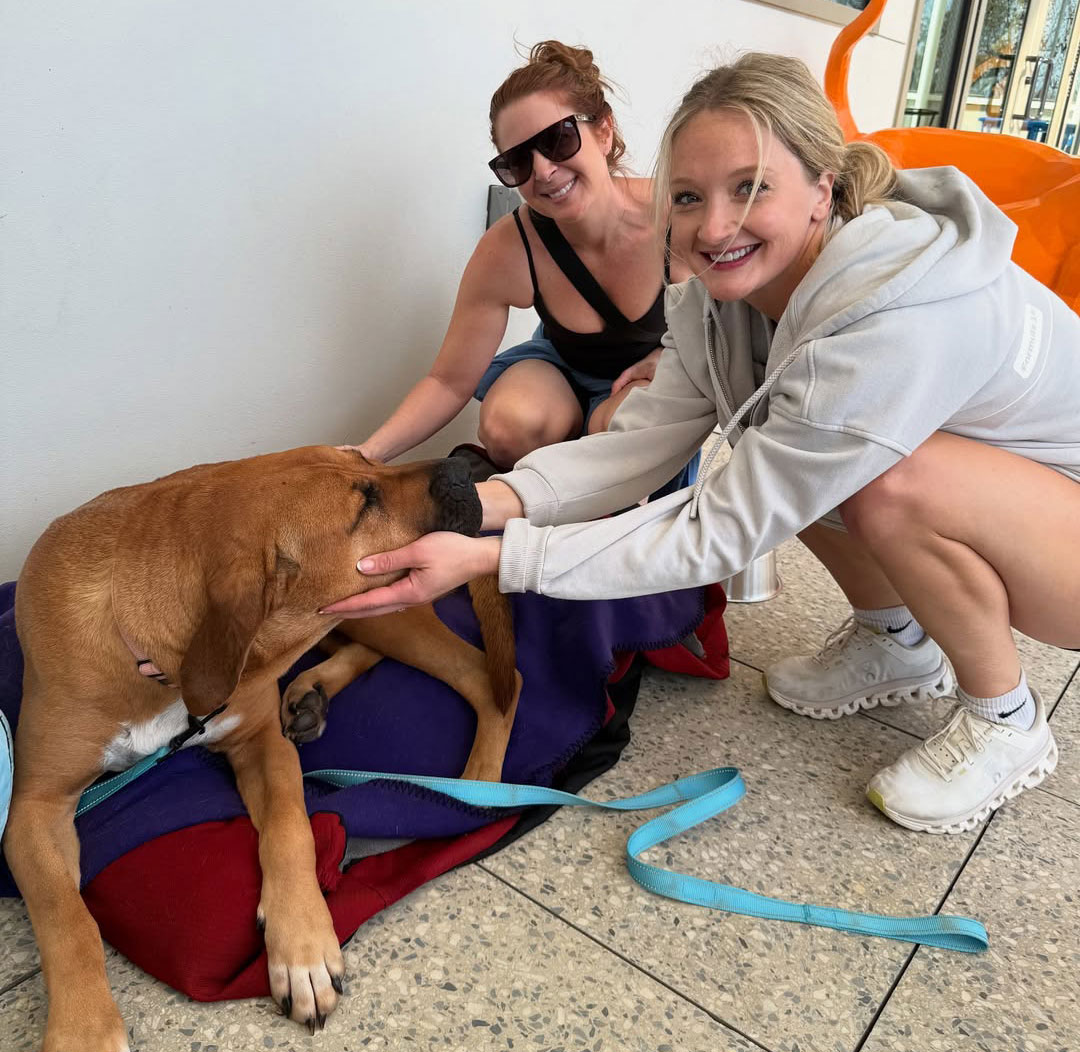two women petting dog at puppy yoga