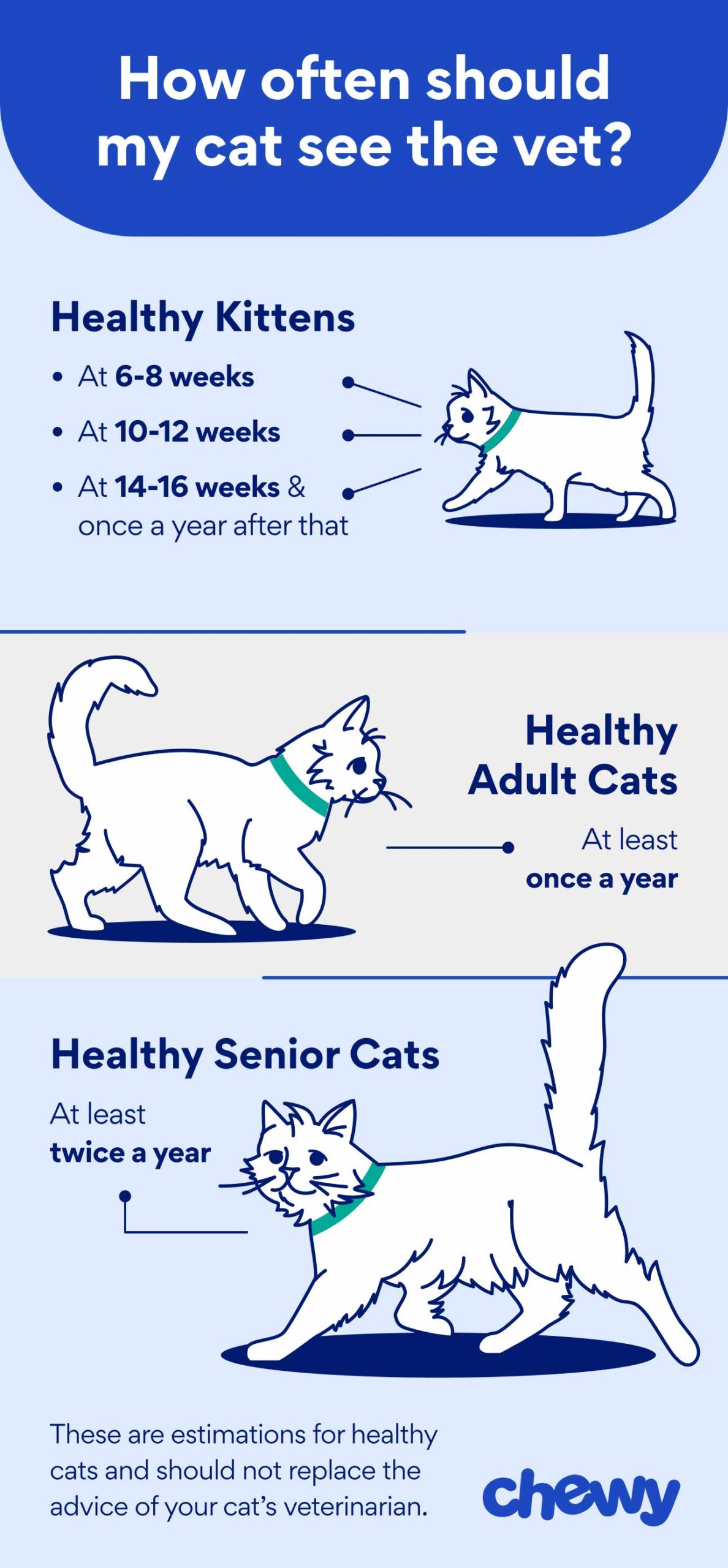 Infographic: How often should my cat see the vet? Healthy kittens: at 6-8 weeks, 10-12 weeks, 14-16 weeks and once a year after that. Healthy adult cats: at least once a year. Healthy senior cats: At least twice a year. These are estimations for healthy cats and should not replace the advice of your cat's veterinarian.