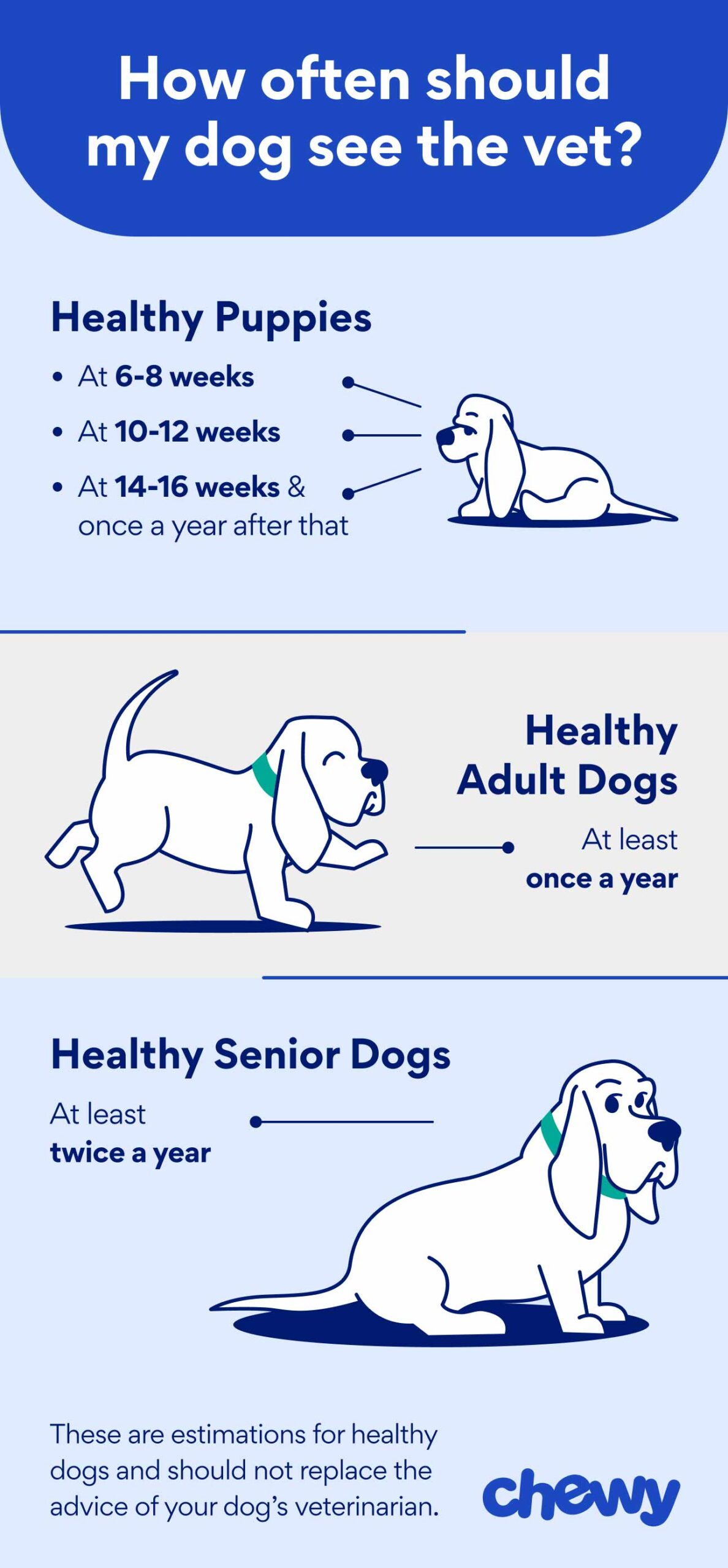 Infographic: How often should my dog see the vet? Healthy puppies: At 6-8 weeks, 10-12 weeks, 14-16 weeks, and once a year after that. Healthy adult dogs: at least once a year. Healthy senior dogs: At least twice a year. These are estimations for healthy dogs and should not replace the advice of your dog's veterinarian.