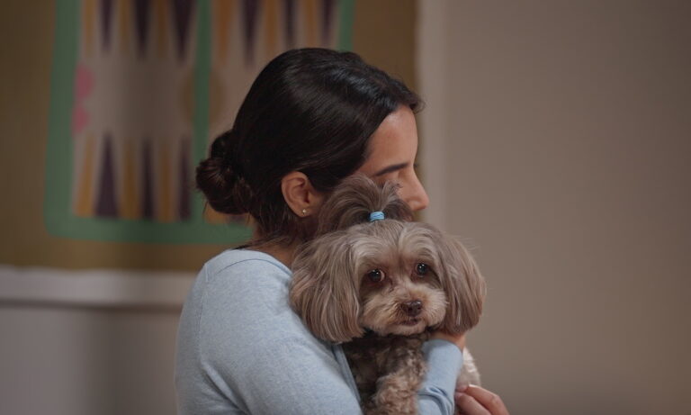 A woman with dark hair in a blue sweater hugs a small gray dog.
