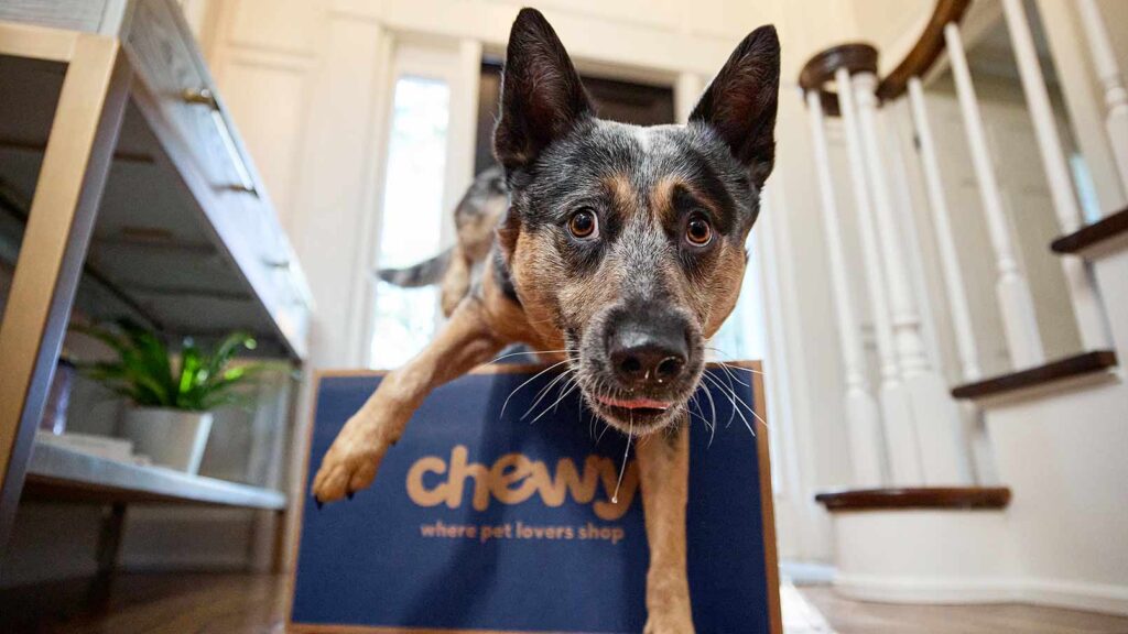 A dog with their Chewy food delivery, one of 20 dog hacks to make pet parenting easier.