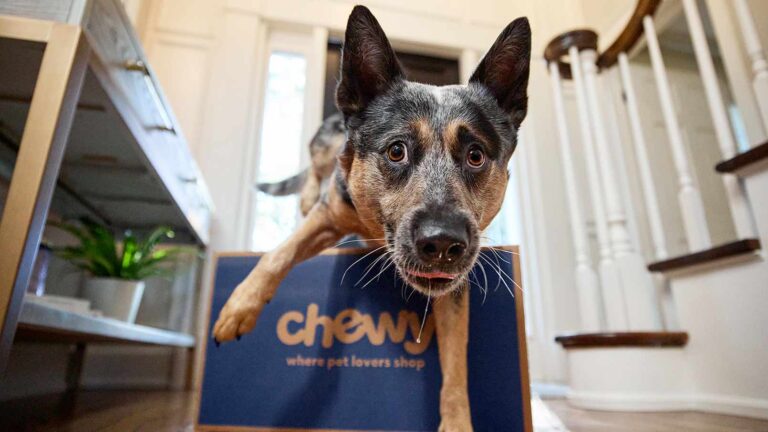 A dog with their Chewy food delivery, one of 20 dog hacks to make pet parenting easier.