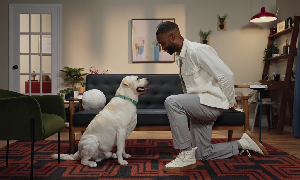 A man hiding a treat behind his back kneels in front of a white Lab.
