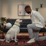 How Long Is a Dog’s Attention Span?