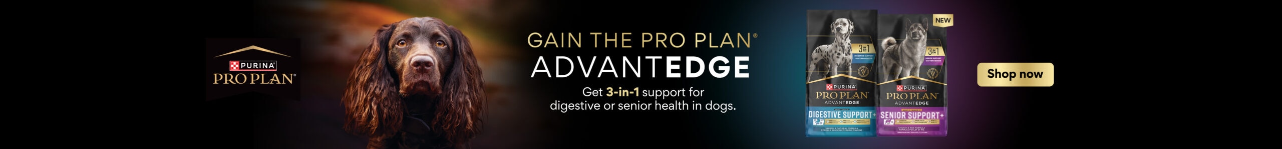 Sponsored AdvantEDGE Sitewide Banner - Dog