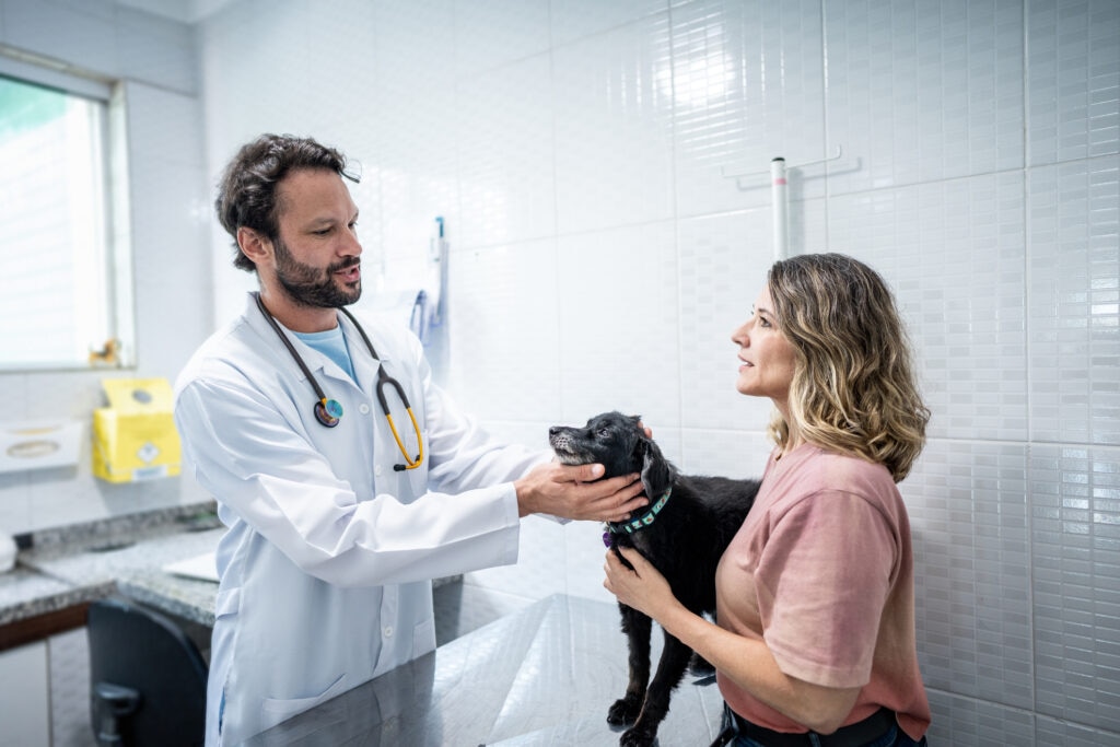 a vet discusses possible a early cancer detection screening with a pet parent during an exam.