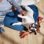 The 15 Most Popular Dog Breeds
