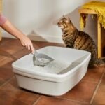 How To Clean a Litter Box: A Simple Guide for Cat Parents