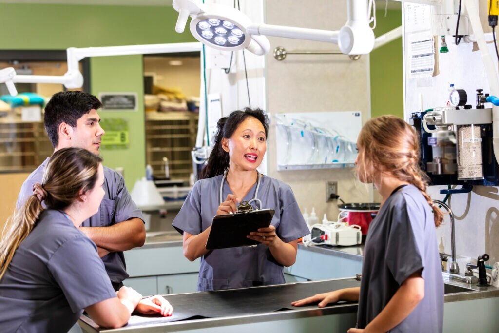 veterinary team meets in animal hospital room to discuss a case.