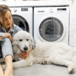 The Ultimate Pet Parent Deep-Cleaning Challenge