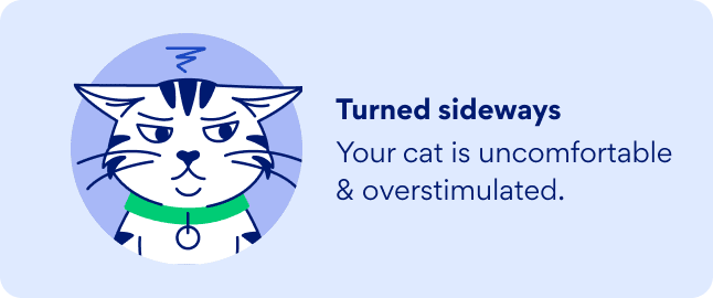 graphic of a cat with sideways ears