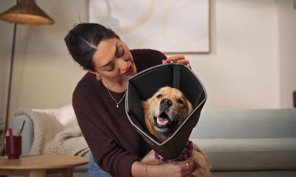A smiling Golden Retriever wears a soft dog cone in black while his pet parent looks on.