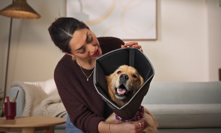 A smiling Golden Retriever wears a soft dog cone in black while his pet parent looks on.