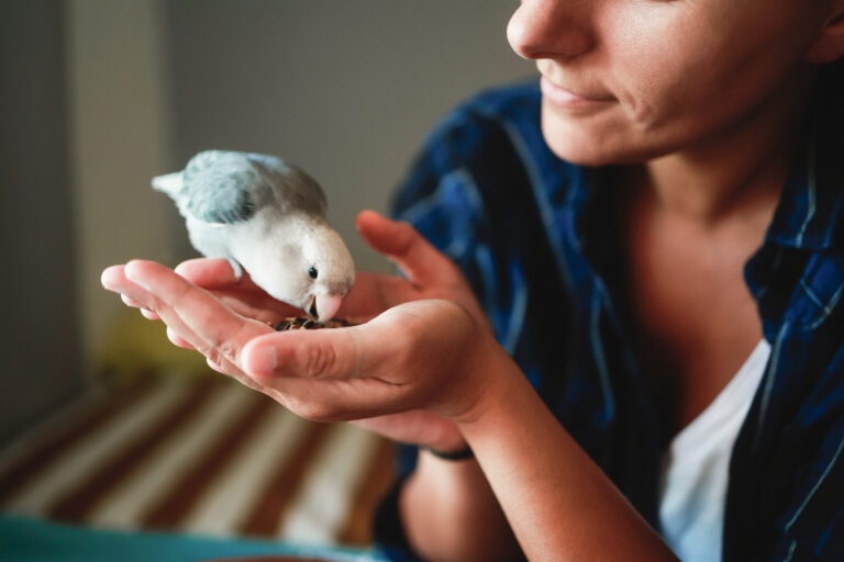 Woman holding pet bird